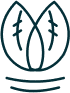 s1_icon1